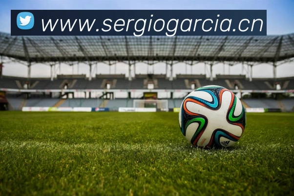 beat365官方网站入口平台生态图